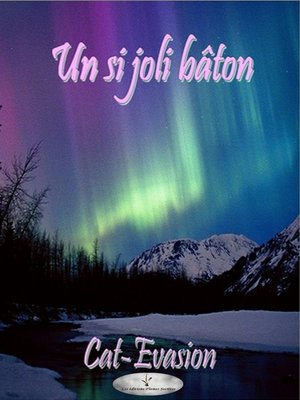 cover image of Un si joli bâton